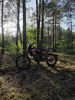 Regulmoto ZR, 2024 г.