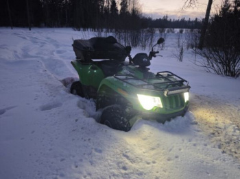Arctic Cat 450 H1 EFI, 2010 г.