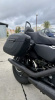 Harley-Davidson Sportster XL883N, 2021 г.