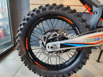 Progasi Endurance 300 EFI, 2025 г.
