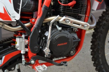 Progasi SUPER MAX 250, 2024 г.