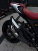 Ducati Monster, 2023 г.