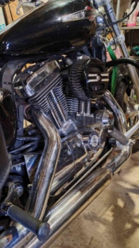 Harley-Davidson Sportster XL 1200 C, 2011 г.