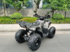 Motax ATV Grizlik T200 LUX, 2023 г.