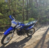 Racer Panther RC300-GY8X, 2024 г.