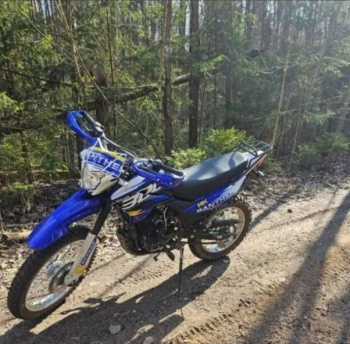Racer Panther RC300-GY8X, 2024 г.
