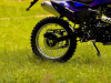 Racer ZWC2-300B, 2026 г.