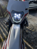 Progasi PALMA 250 SE, 2024 г.