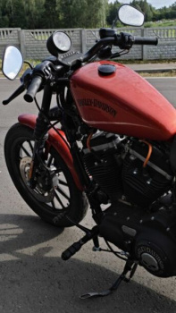 Harley-Davidson Sportster Iron, 2013 г.