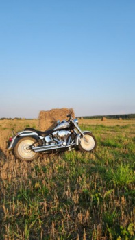 Harley-Davidson Fat Boy 100th Anniversary, 2003 г.