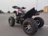 Спортивный KXD Cobra 250, 2025 г.