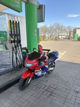 Honda CBR, 1999 г.