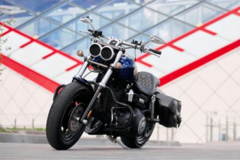 Harley-Davidson Fat Bob CVO DYNA FXD FD, 2008 г.