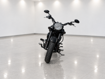 Kawasaki VN 900, 2018 г.