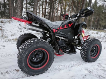 Motoland VOX 250 RALLY, 2025 г.