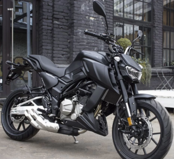 Regulmoto Alien Monster 300, 2025 г.