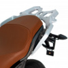 Regulmoto Alien Monster 300, 2026 г.
