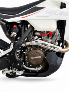 Regulmoto Holeshot PRO 350, 2026 г.