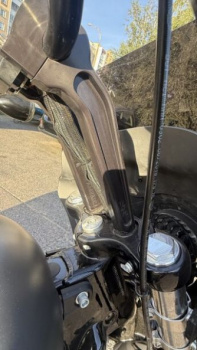 Harley-Davidson Softail Street bob, 2019 г.