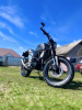 Fuego Scrambler 250 3.0, 2023 г.