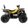 Progasi Race Jumper 200 Max Power (мотокомплект), 2026 г.