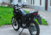 Racer Ranger 250, 2024 г.