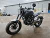 Минск SCR 250 Scrambler, 2026 г.