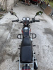 Regulmoto RM, 2024 г.