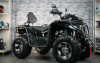 Avantis Hunter 450, 2026 г.