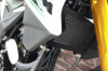 Racer Ranger RC300-GY8, 2024 г.