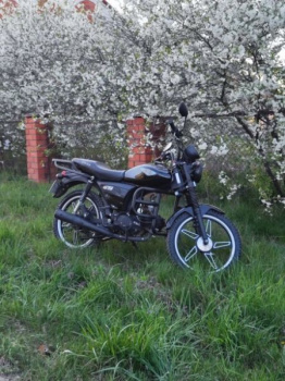 Racer RC, 2024 г.
