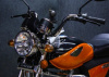 Racer Alpha RC50 М1, 2025 г.