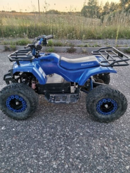 Motoland ATV E008 1000 ватт, 2022 г.