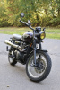 Triumph Scrambler 900, 2009 г.