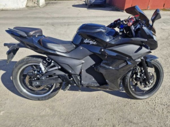 Kawasaki Ninja, 2024 г.