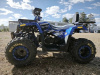 Motoland Wild Track 200 LUX, 2025 г.