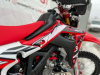 Regulmoto CR-Z 300, 2024 г.