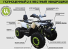 Motoland Wild 200 TRACK LUX, 2024 г.