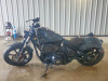 Indian Chief Dark Horse, 2025 г.