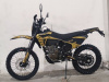 Regulmoto ZZ PR 300, 2026 г.