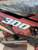 Progasi Race 2T, 2026 г.