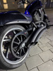 Victory Hammer Limited, 2014 г.