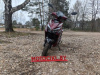 SPRMOTORS SPORT FS Plus, 2026 г.