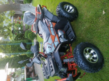 ATV Storm 200 Wild Track Lux 163QML, 2026 г.