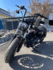 Harley-Davidson Sportster 48, 2020 г.