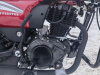 Motoland Forester 200, 2026 г.