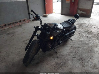 Harley-Davidson Sportster RH1250, 2023 г.
