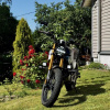Shineray Sport 250 Cobra, 2025 г.