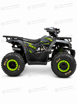 Motoland Wild 125, 2026 г.