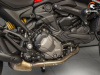 Ducati Monster, 2023 г.